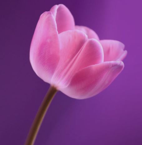 Con todo mi amor para mis padres